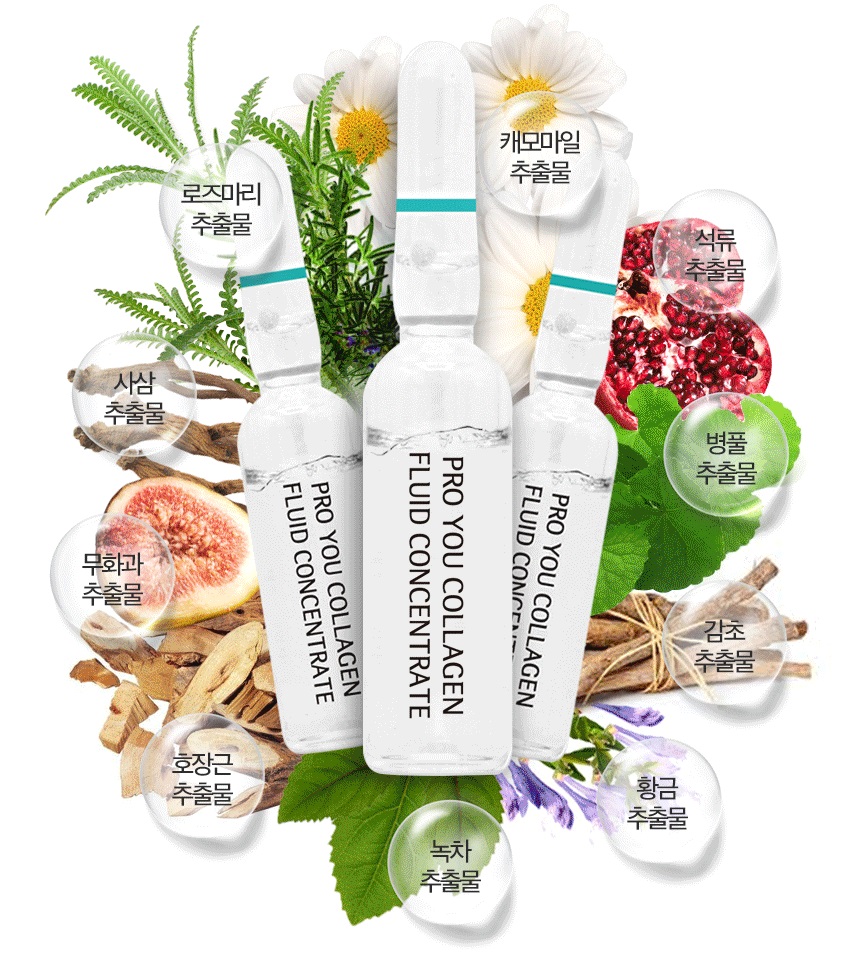 Tinh chất Proyou Collagen Fluid Concentrate 1